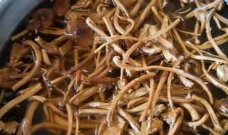 干茶树菇馅的做法 干茶树菇的做法